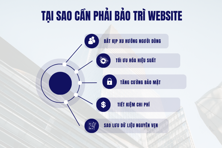 tai-sao-can-su-dung-dich-vu-bao-tri-website