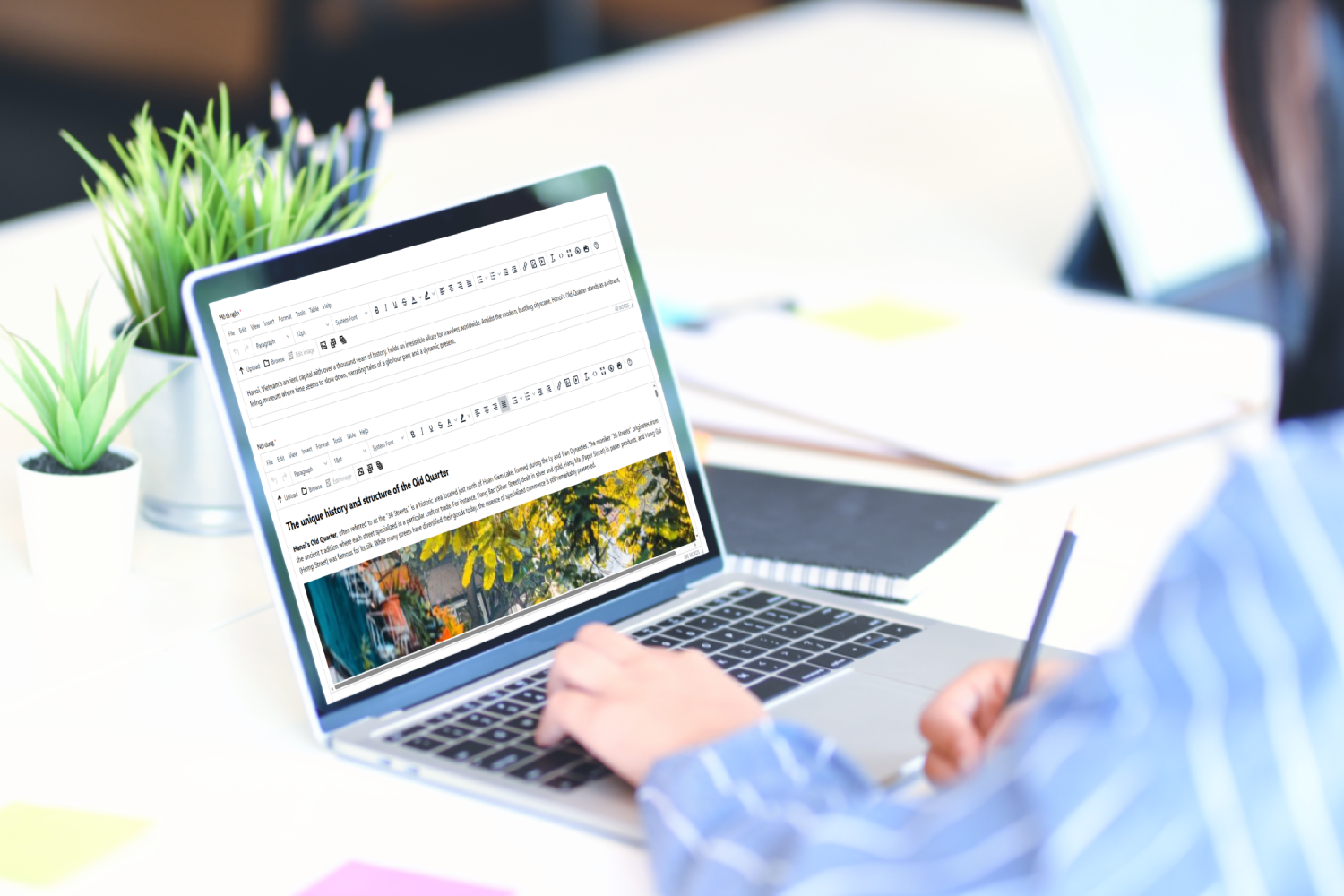 Dịch vụ viết content website du lịch chuẩn SEO 
