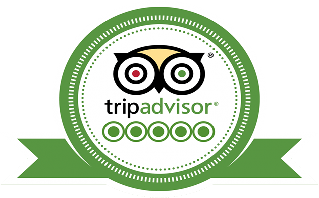 Cải thiện thứ hạng và đạt #1 trên TripAdvisor thông qua 20 bước 