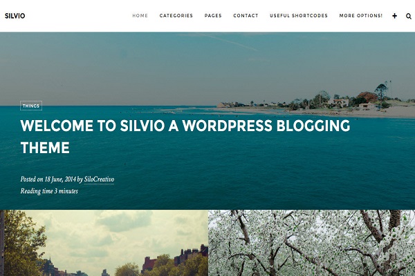 silvio-mau-website-du-lich-dep