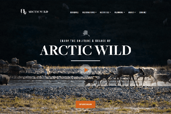 website du lich noi tieng the gioi Arcticwwild